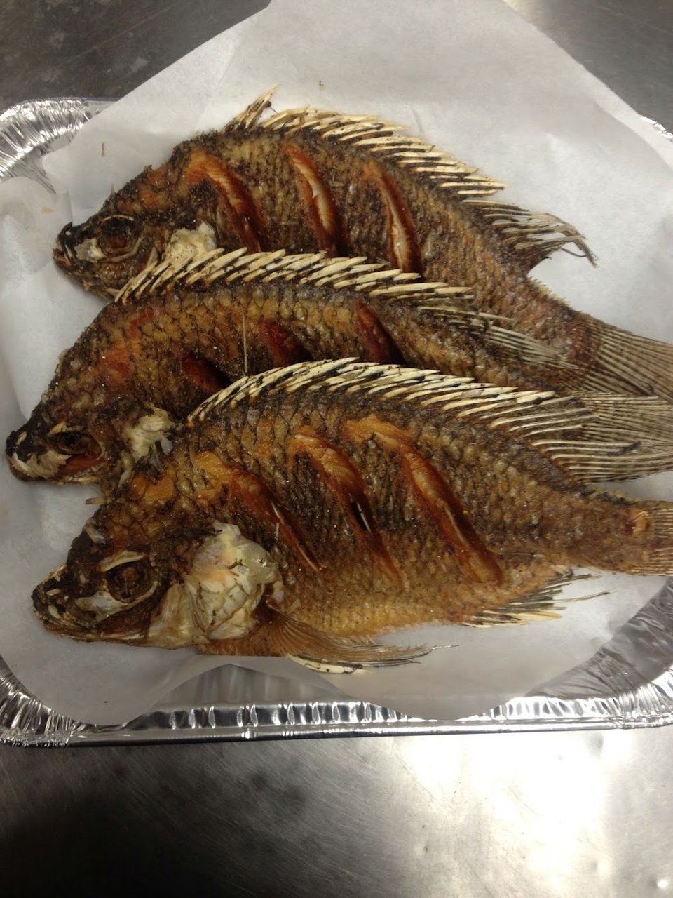 Tilapia
